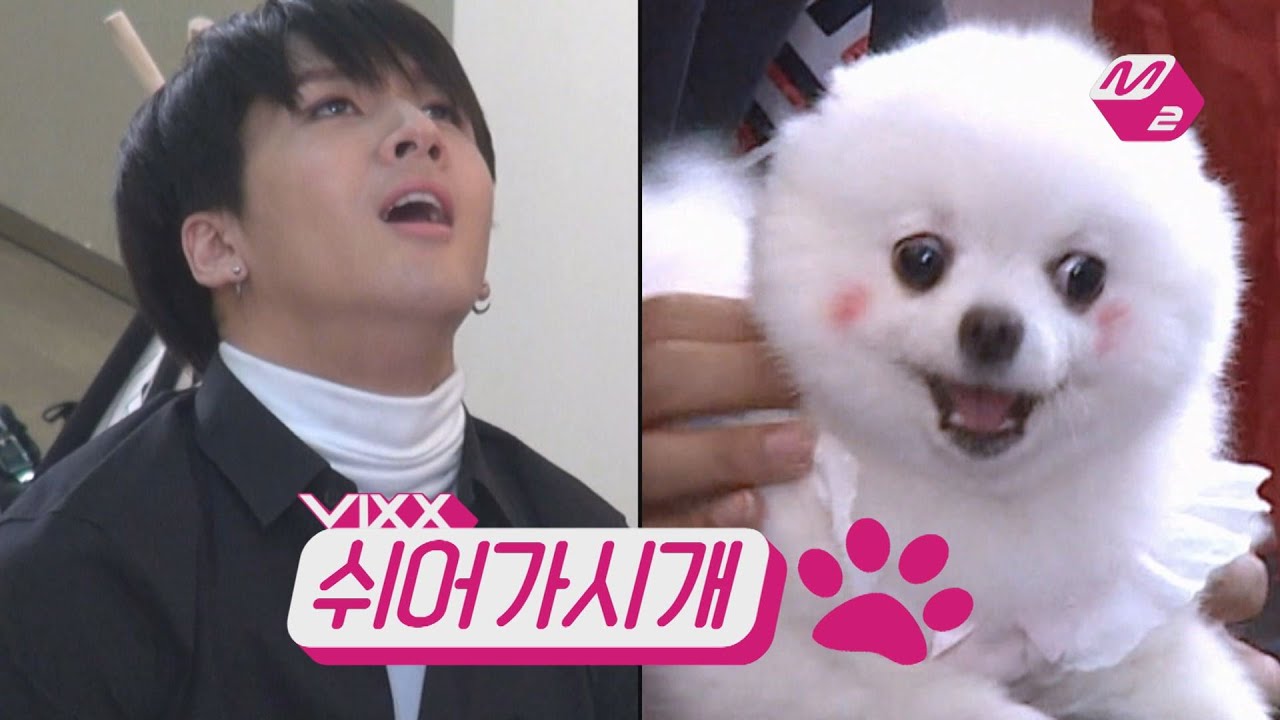 [M2]쉬어가시개 빅스(VIXX) 2편