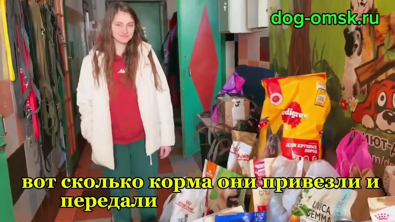Итоги дня 15.02.2026