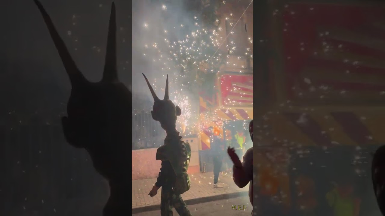 Correfocs Elda 2024 - Dimonis Rafolins