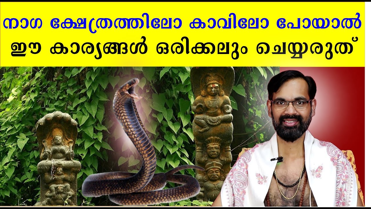 നാഗ ക്ഷേത്രത്തിലോ കാവിലോ പോയാൽ ഈ കാര്യങ്ങൾ ഒരിക്കലും ചെയ്യരുത് | NAGA TEMPLE / KAVU / MANNARASSALA