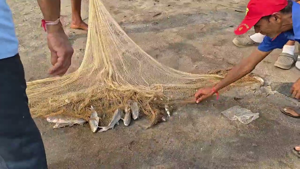 Cast Net Fishing , Arabian Costel Sea ⛵ beach fisherman 