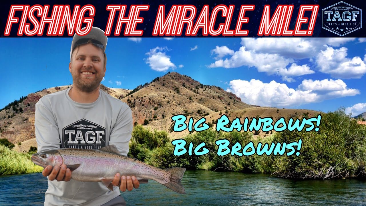 Wyoming Trout Fishing the North Platte River w/ Spinning Tackle!