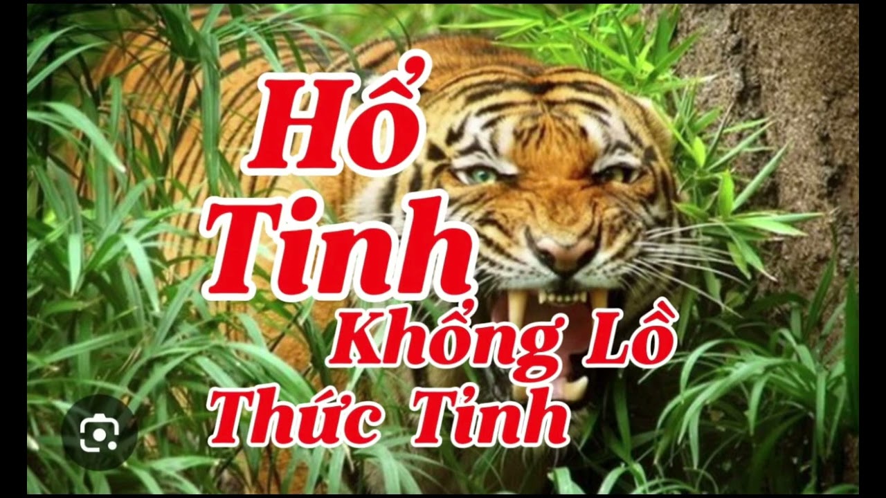 KHI HỔ TINH KHỔNG LỒ THỨC GIẤC | Lê Anh diễn đọc 