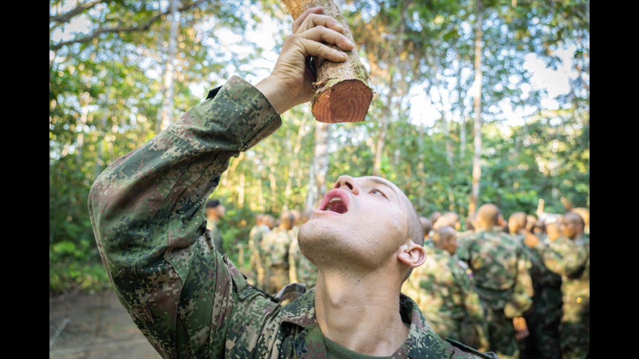 En el aniversario 68 de la Escuela de Lanceros, conozca la Fase de Operaciones en Selva-1 PARTE