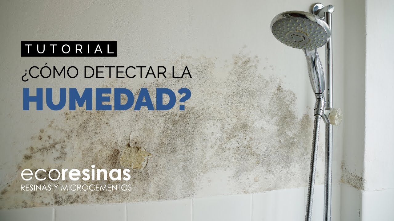 ¿Cómo comprobar la humedad en el suelo?