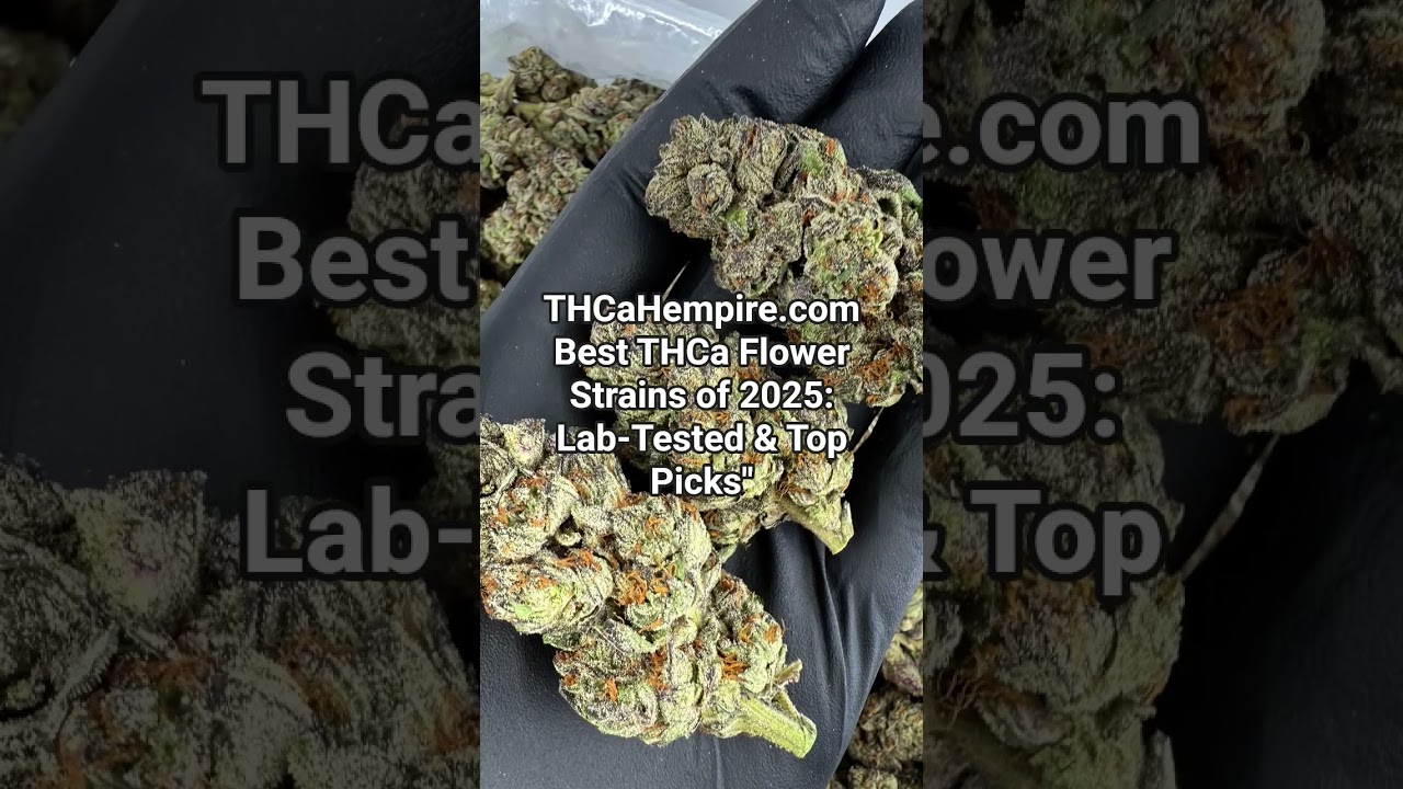 Best Thca Flower strains 2025 @THCaHempire