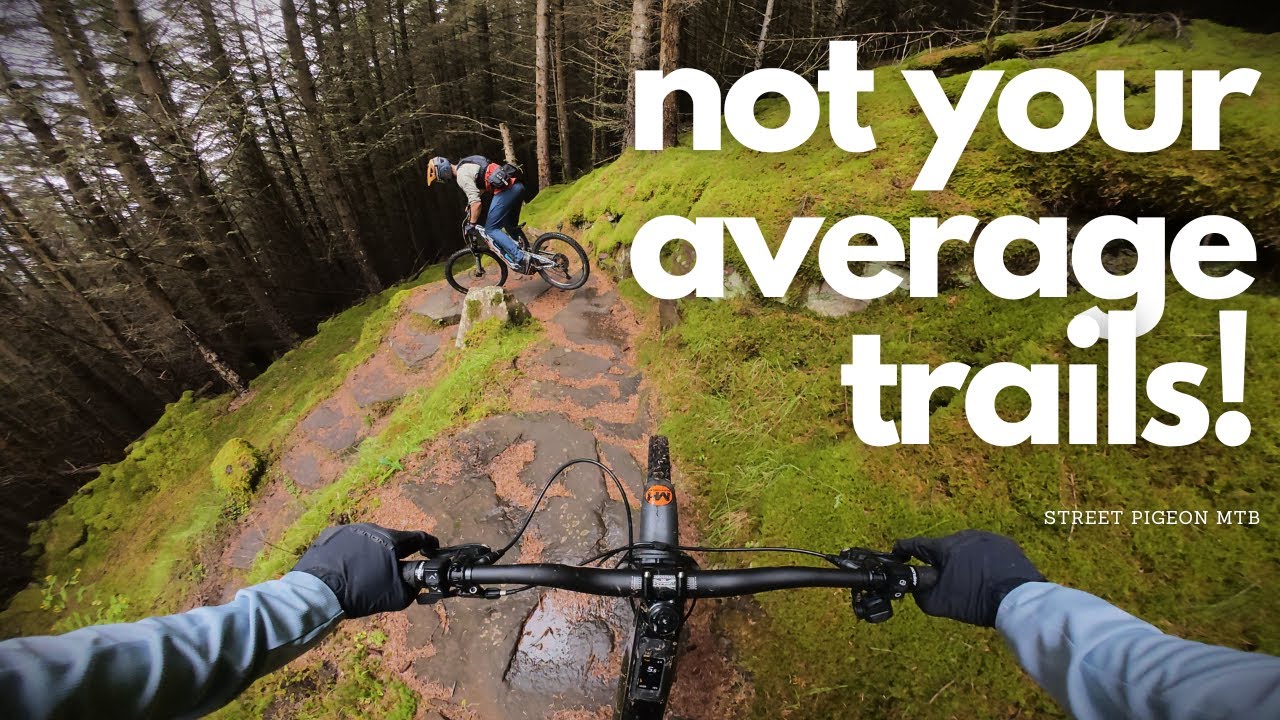 This UK Trail Centre Will Elevate Your Riding | Golspie Wildcat Trails