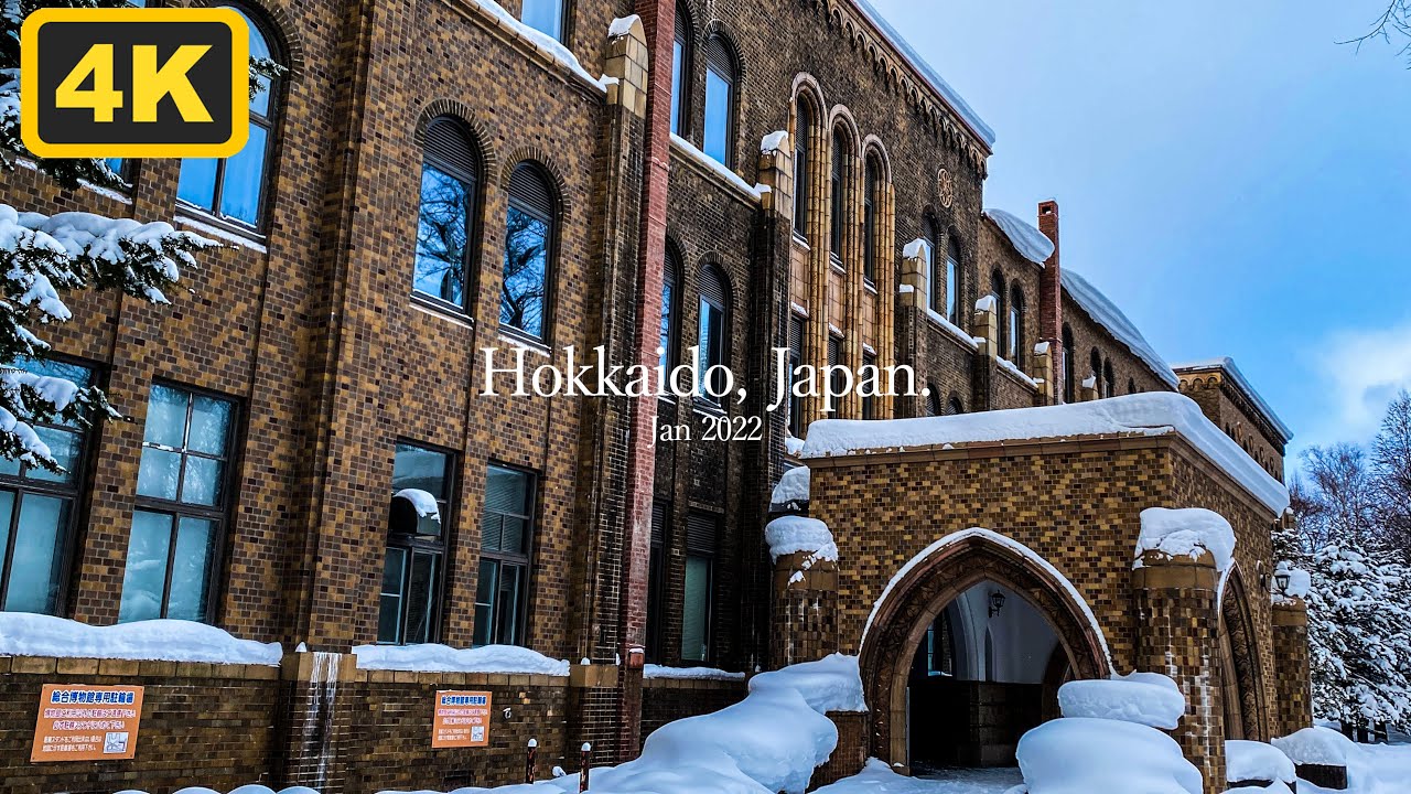 【札幌駅北口→北海道大学】雪に包まれた北大キャンパスへ｜札幌冬の4Kウォーク