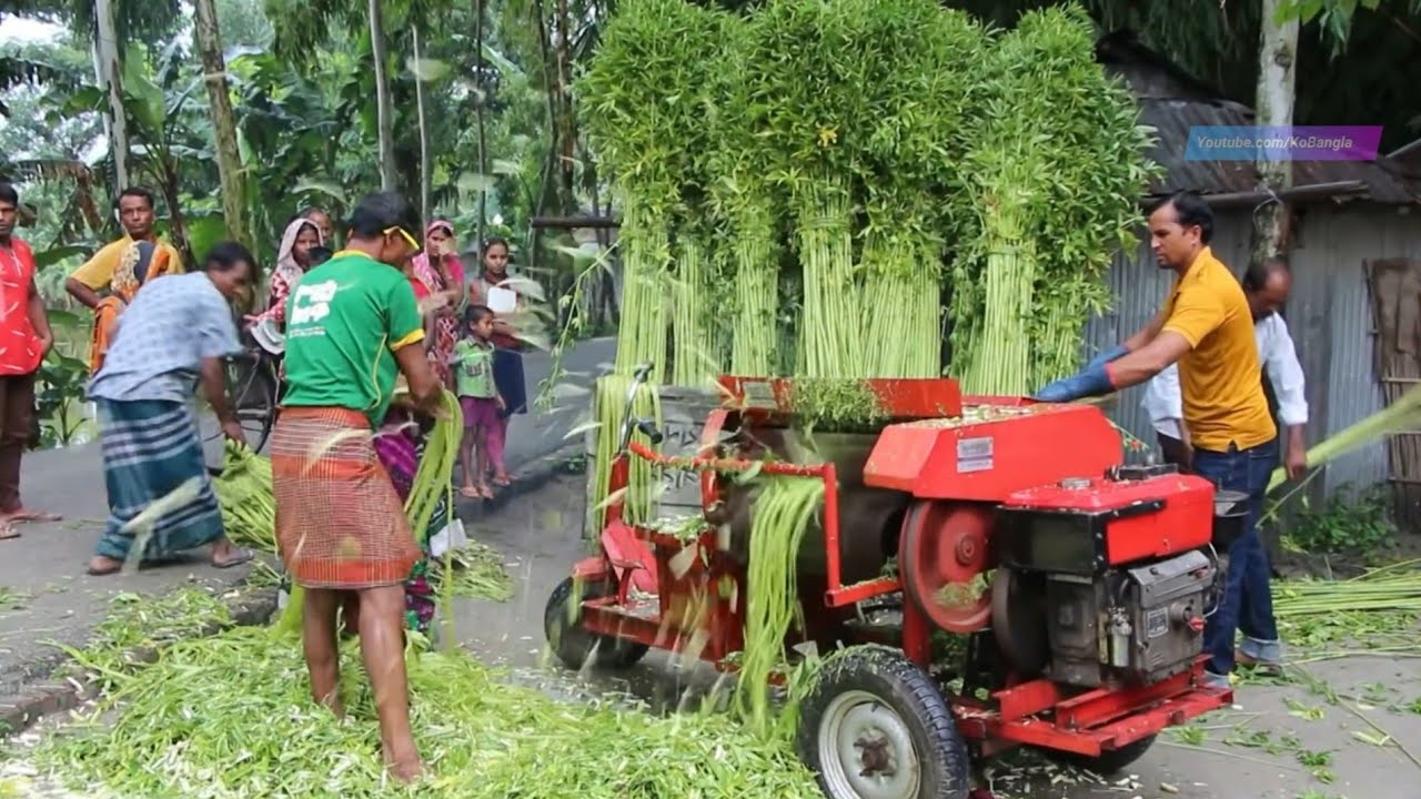 3 বিঘা জমির পাট মাত্র 10 মিনিটে ছাড়াতে পারে, এমন মেশিন এসেছে কৃষকরা না খেতে পেয়ে মরে যাবে