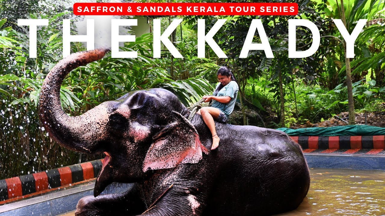 We spent 48 hours in Thekkady, Kerala (Everything to see and do) - Part 1