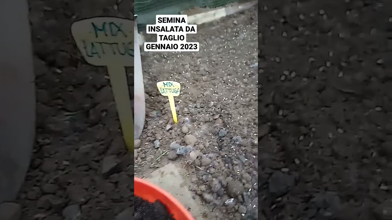 2023 Iniziamo l'orto così,semina a spaglio 