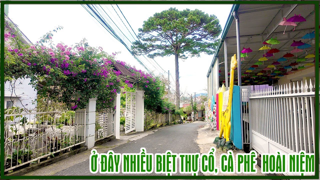 Đà Lạt hôm nay - Thời tiết lạnh 14 độ se lạnh, ở đây biệt thự cổ, quán cà phê nhiều hoài niệm