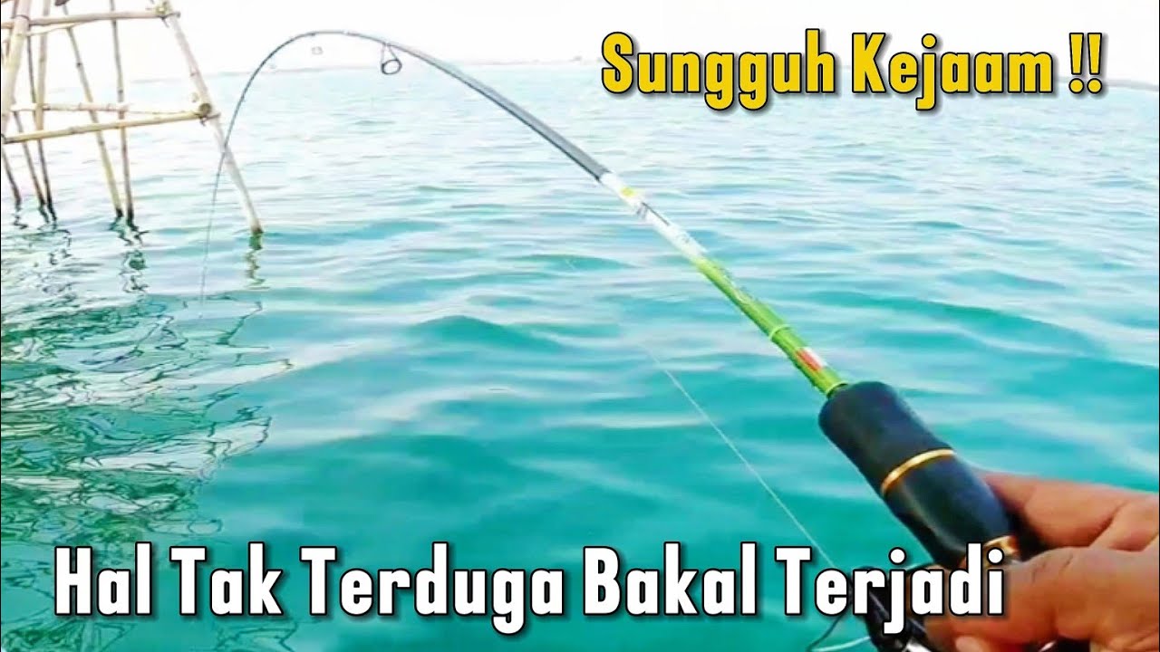 SUNGGUH TRAGISS !! Akhirnya Terjadi Juga Saat Rombongan Ikan Lewat || Naomi Fishing Adventure