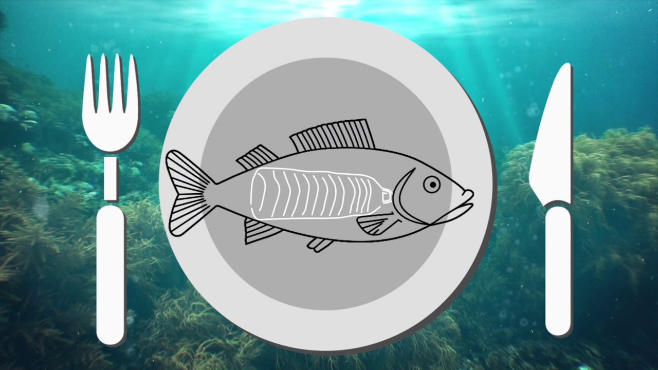 Film on Sea Debris