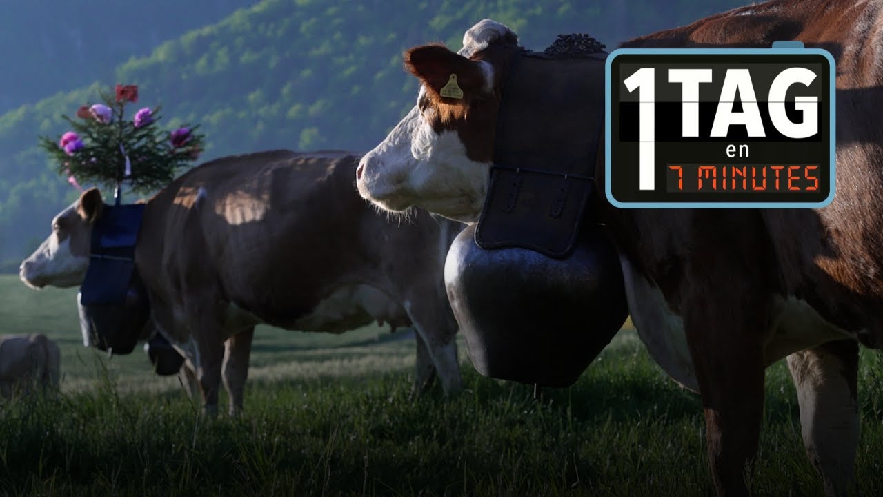 1 TAG EN 7 MINUTES mit Alex Oppliger