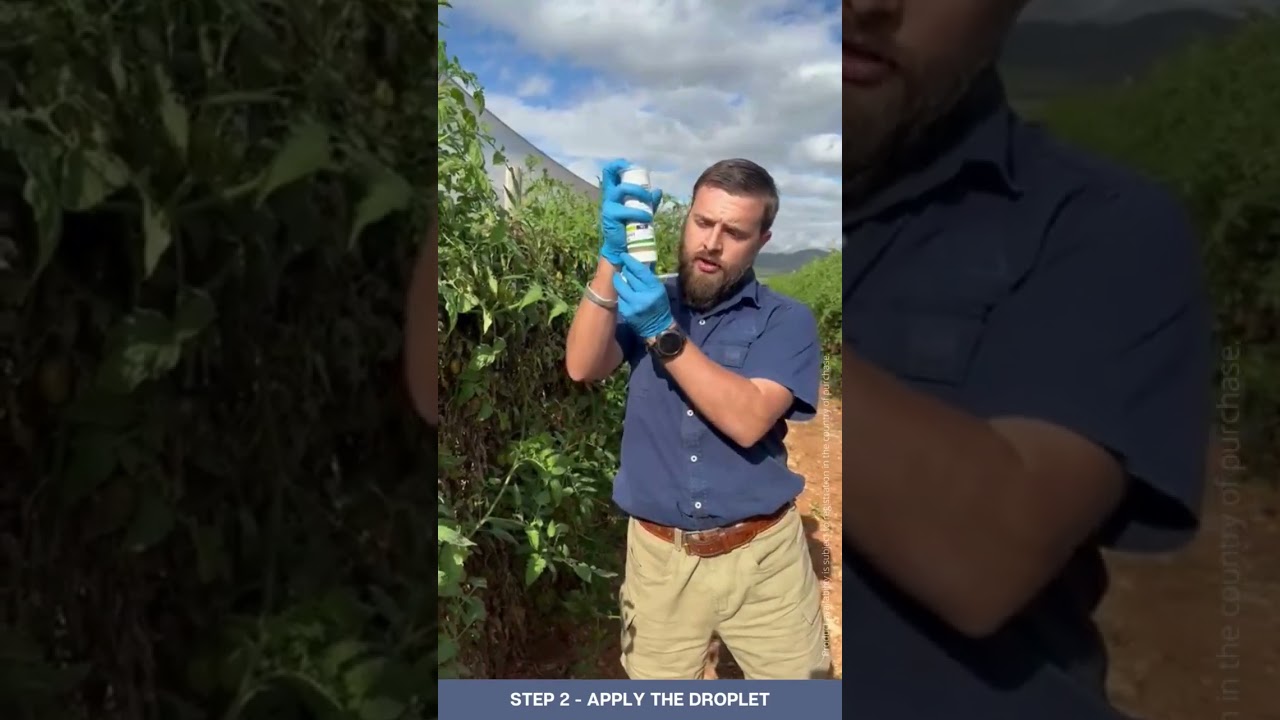 How to apply Last Call&trade; T.A. | Responsible Pest Management&trade; for Tuta absoluta