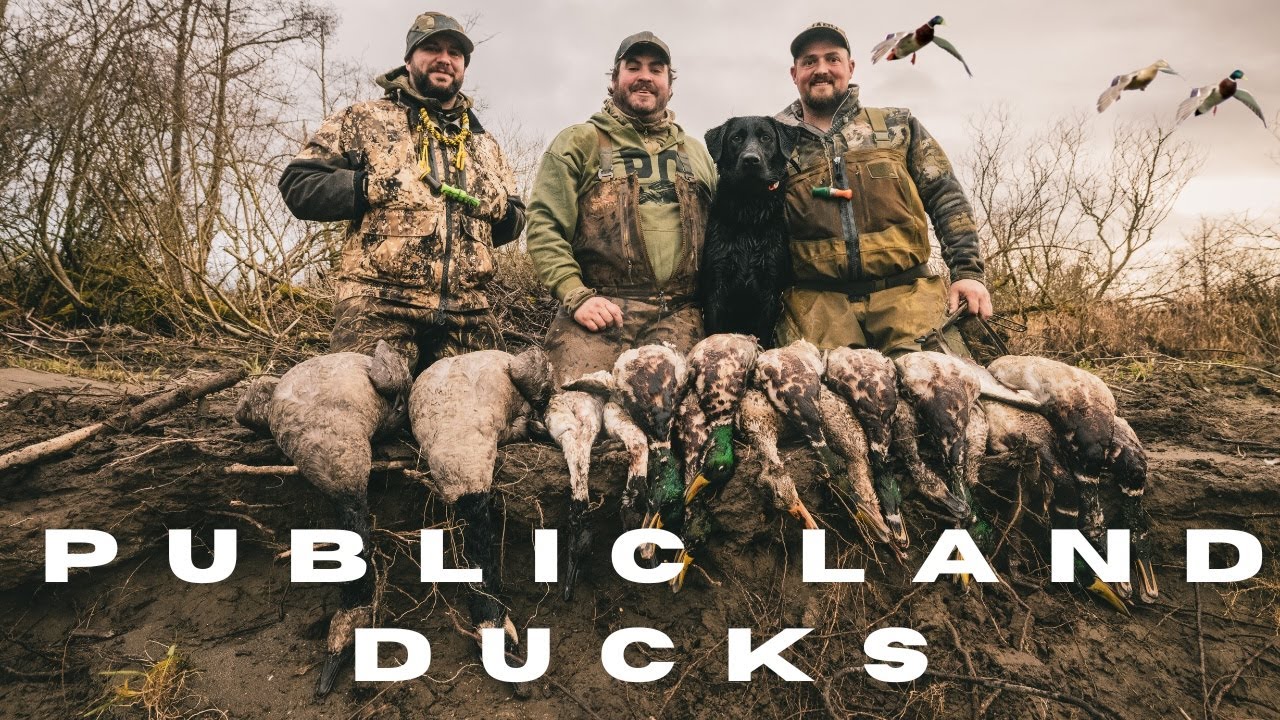 Public Land Duck Hunting -  Western Washington Three Man