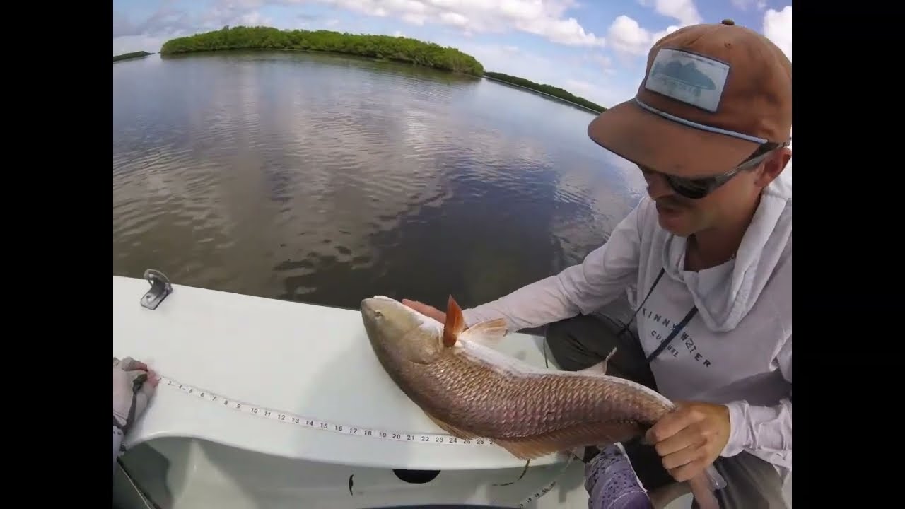 Big Redfish and my Personal Best Black Drum!