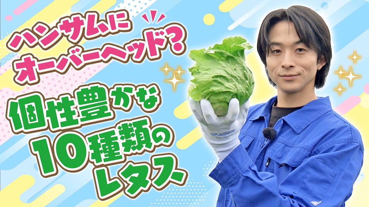 【澤夏と10種のレタス】個性を活かして美味しく調理！
