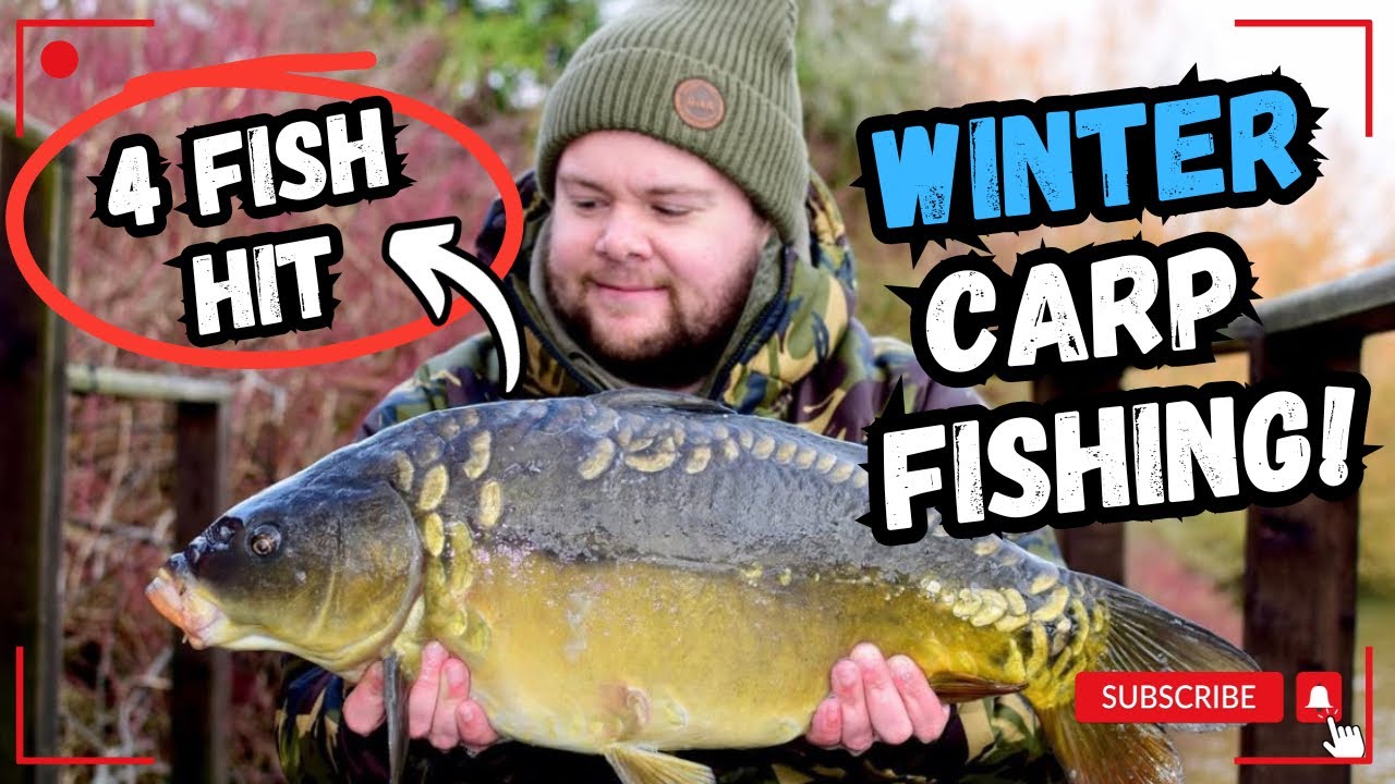 DAY SESSION! Winter Carp Fishing 2025 🎣