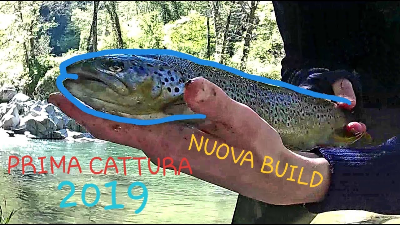 Pesca Trote  Primavera