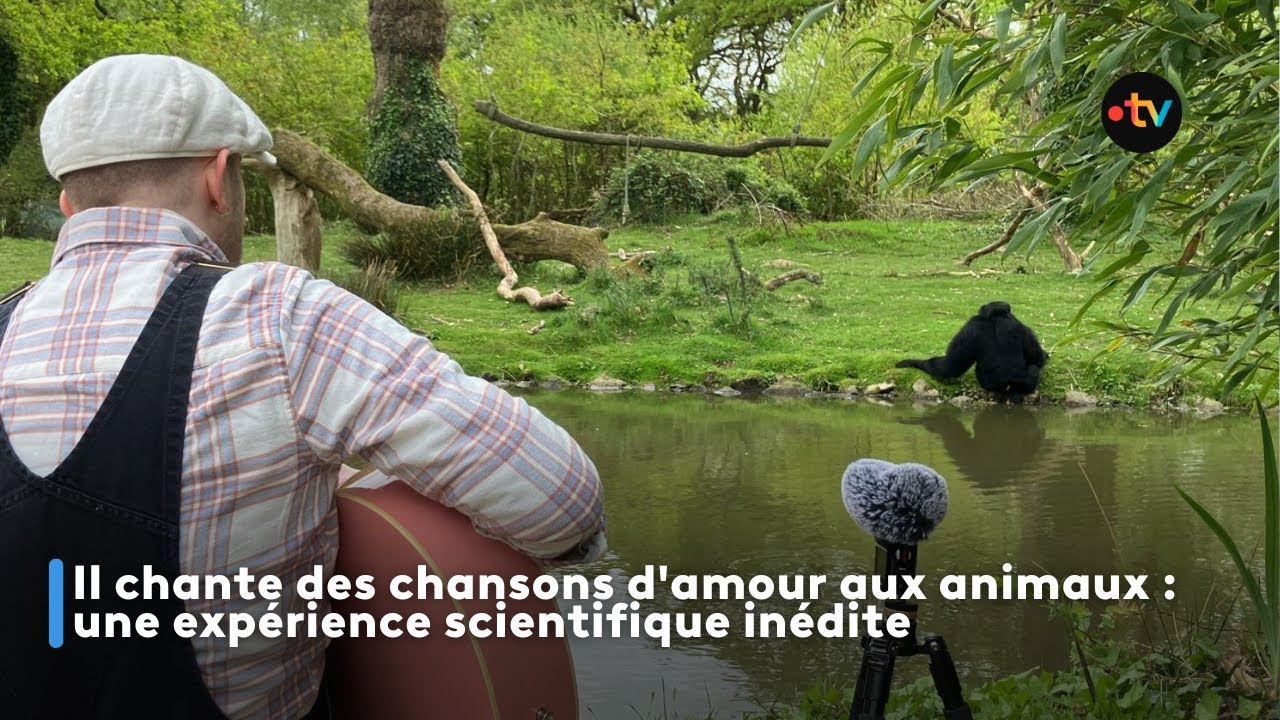 Il chante des chansons d'amour aux animaux : une expérience scientifique inédite