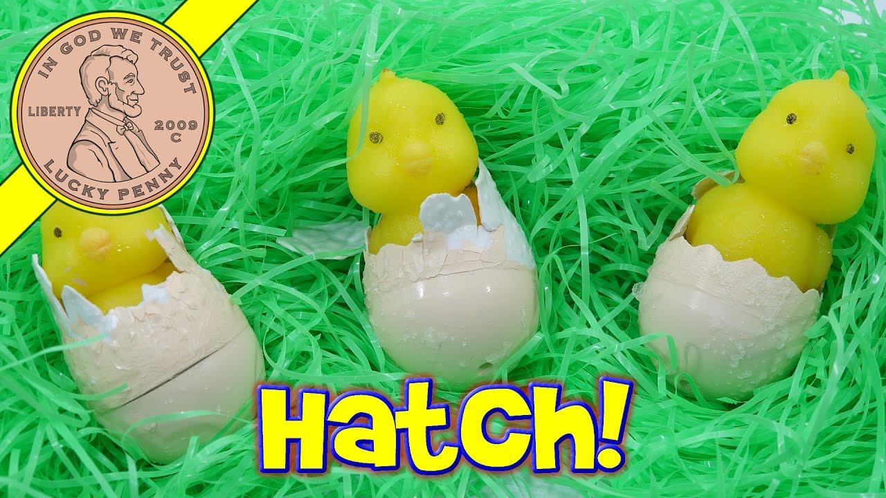 My Chicks Hatch! Hatch'Ems Growing Chicks Water Toys
