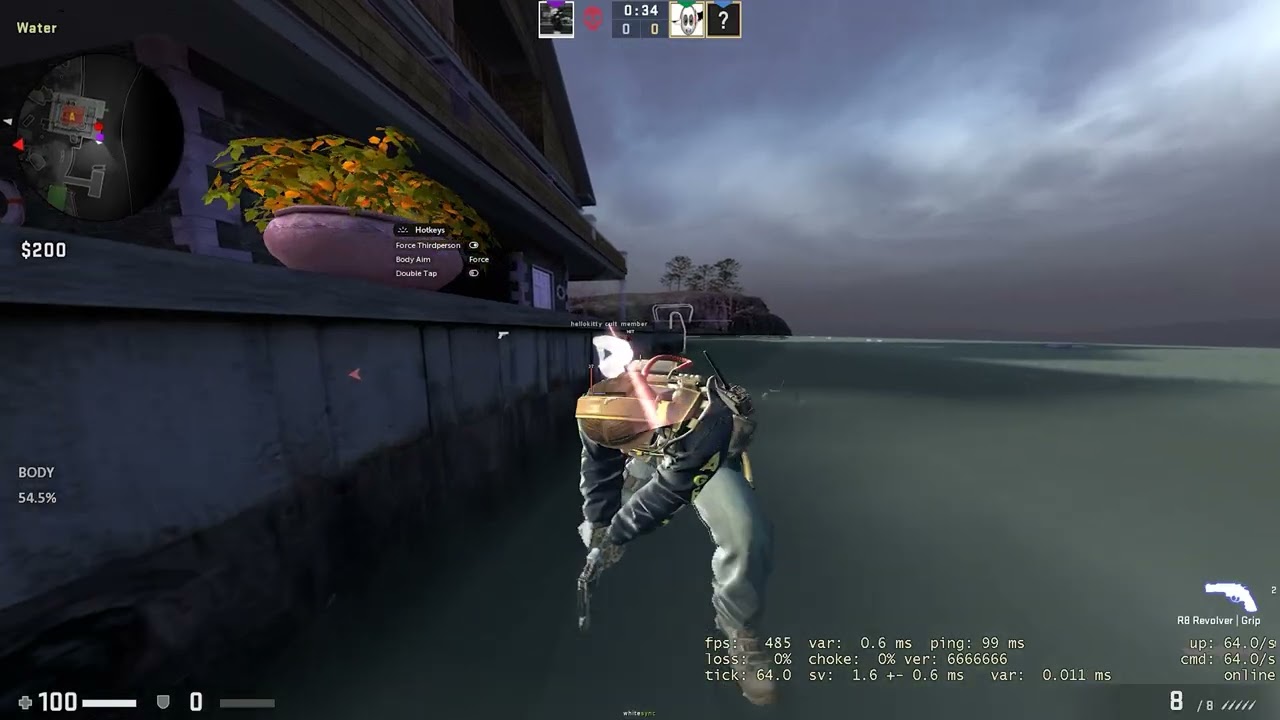 hika joined adhd therapy course [2v2] ft. lord swampy + (hika x swd on elysion)
