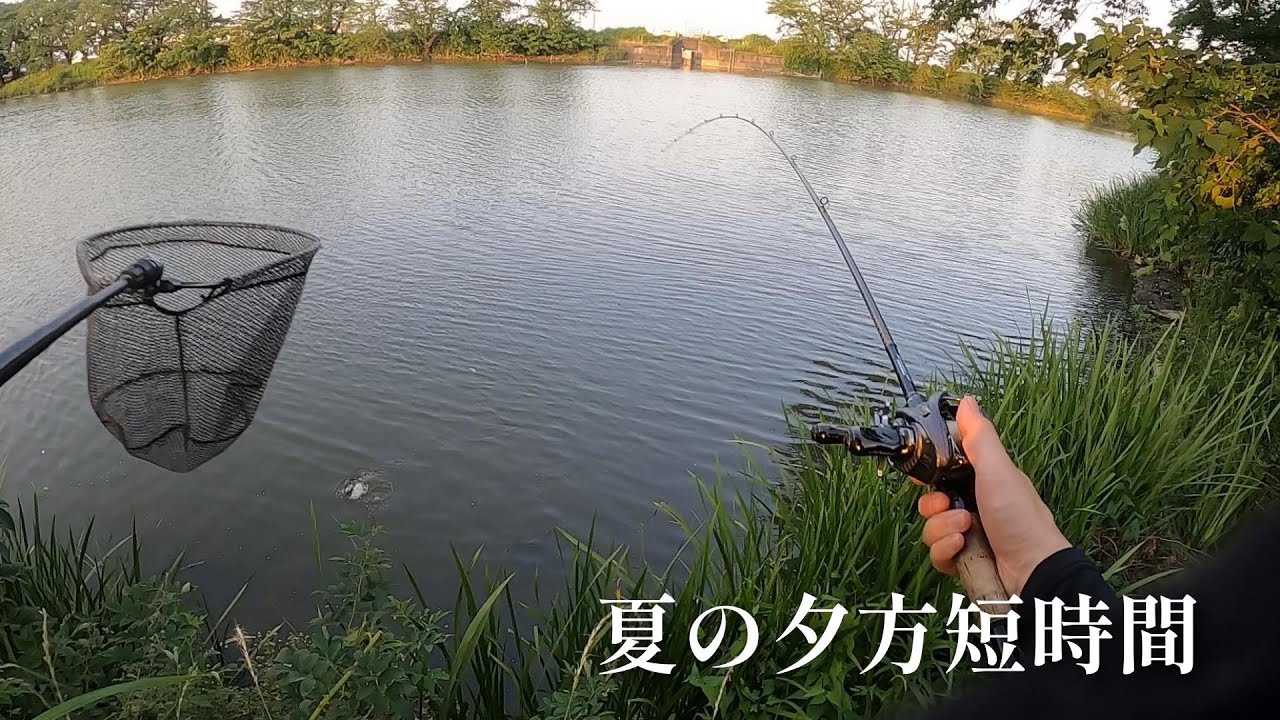 ニンニク食べれば夏の短時間でも釣れる
