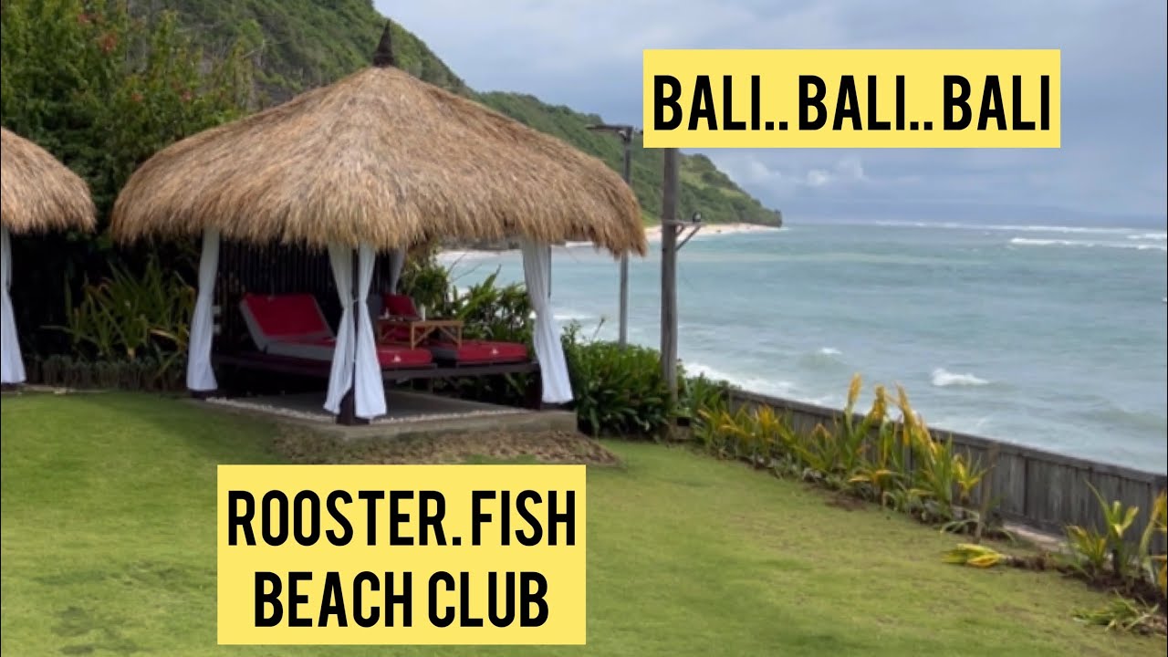 Review Rooster Fish Beach Club BALI