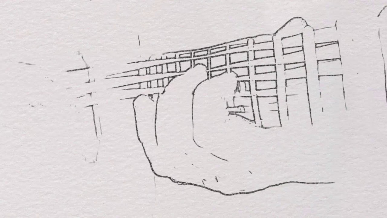 Peter Mulvey: The Fox