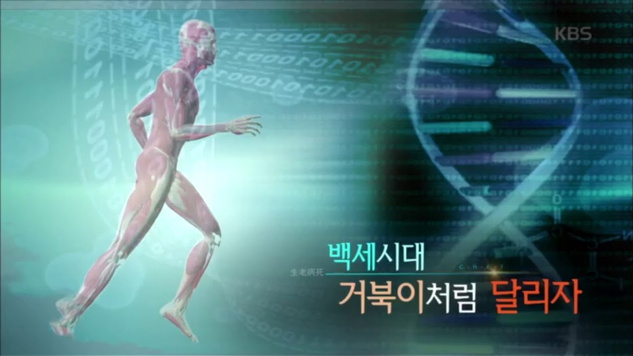 생로병사의 비밀 - 우울증 예방효과까지 입증된 &lsquo;신이 내린 운동&rsquo;, 달리기! 백세시대, 거북이처럼 달리자.20160427