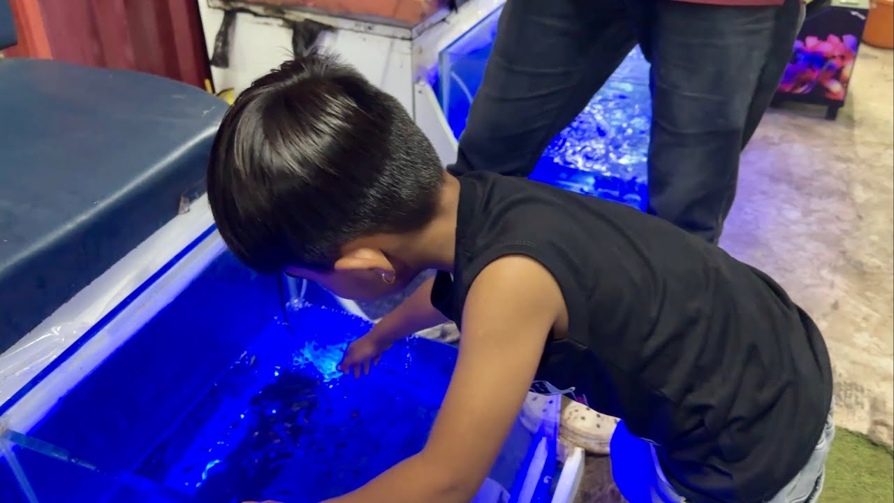 doctor fish ne mummy ki massaj ki  🫢