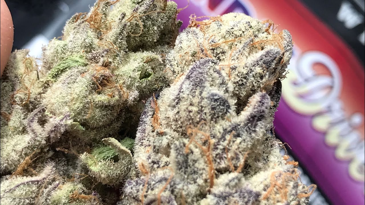 Strain Review Sundae Driver cultivated by Jungle boys