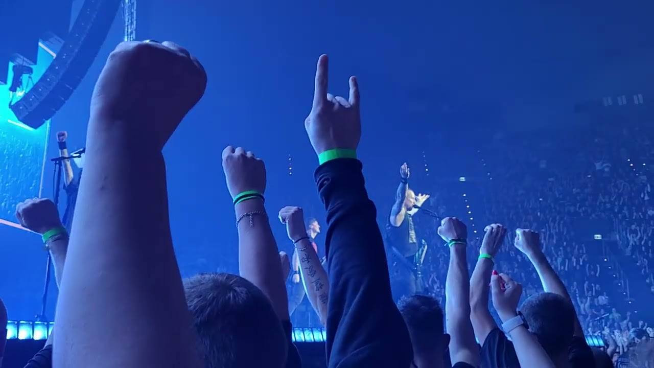 Volbeat Still Counting/ A warriors call und Pool of Booze Booza live in der Olympia Halle München 
