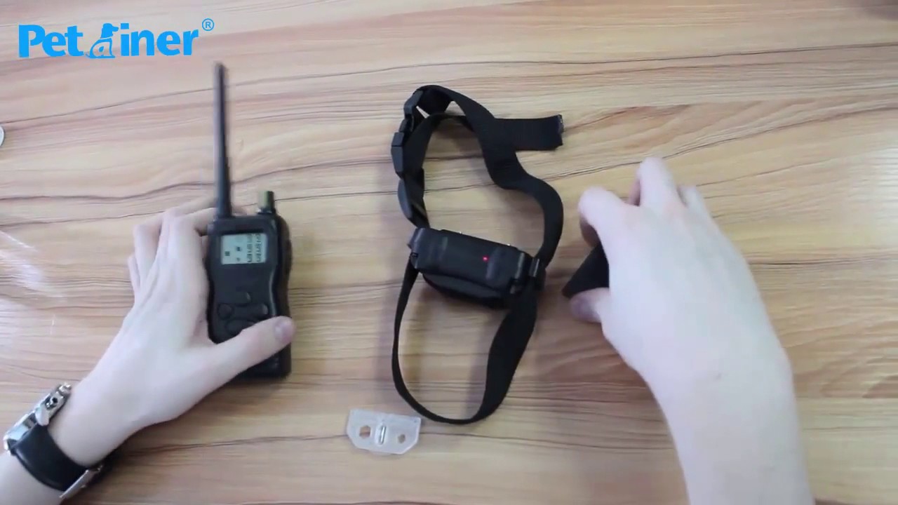 Petrainer PET9001 Electronic Dog Training Collar   Introduction