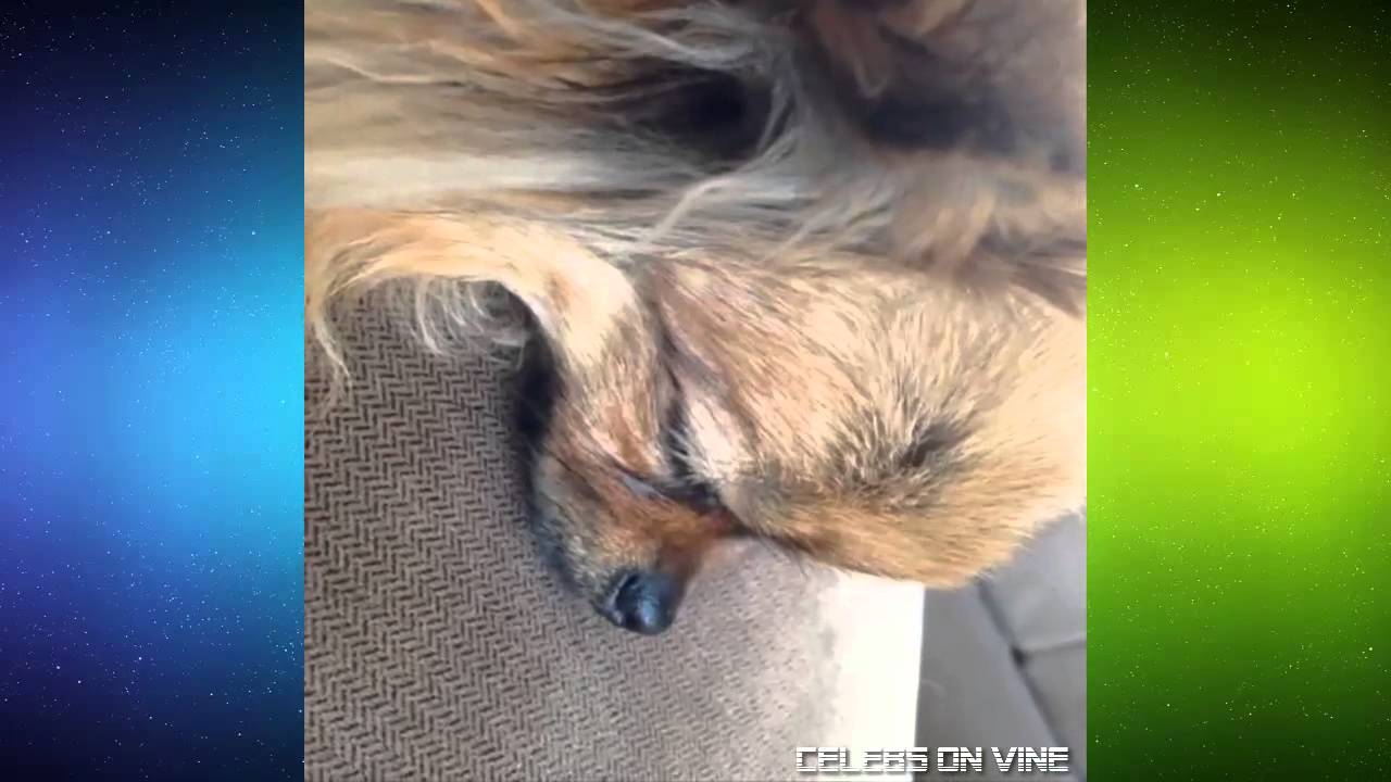 Madison Beer Vine Compilation ALL VINES ★ [HD] ★
