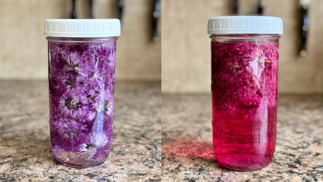 How to Make Chive Blossom Vinegar