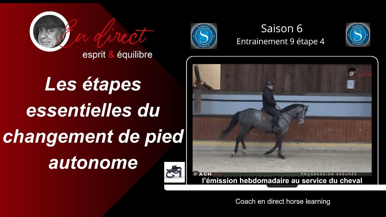Comment rendre le changement de pied autonome @coachendirecthorselearning