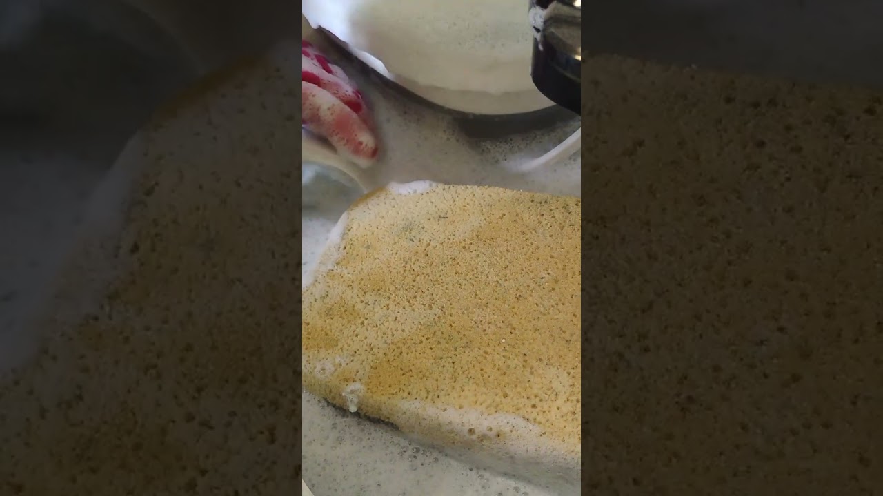 Sponge squeeze ASMR #cleantok #spongerinse #asmrcleaning 