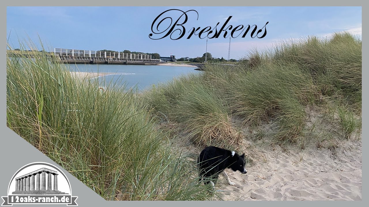 Mit Hund am Meer: Breskens - ein Traumstrand an der südlichsten Spitze der Niederlande | Holland