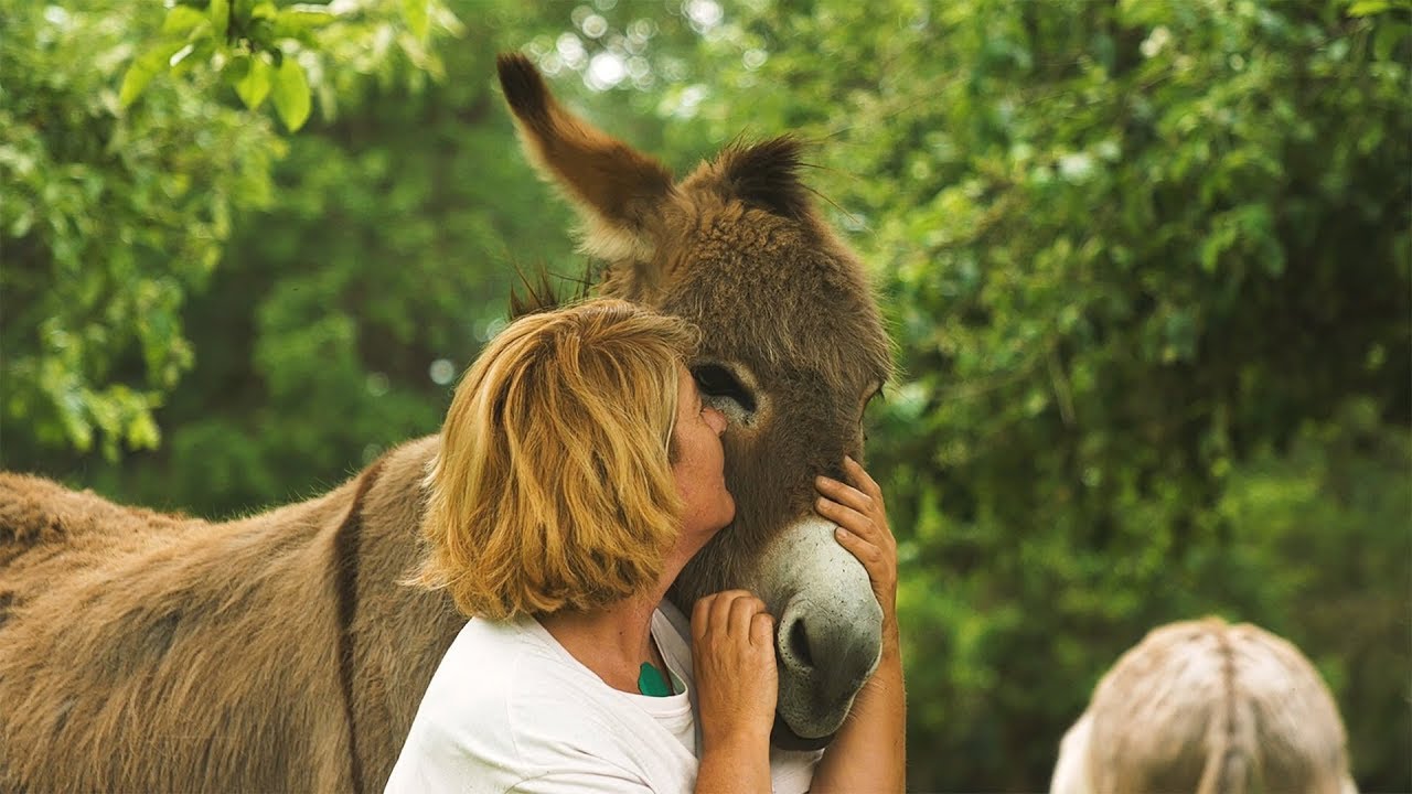 Diana gebruikt ezels voor coaching en therapie van kinderen | Mijndomein