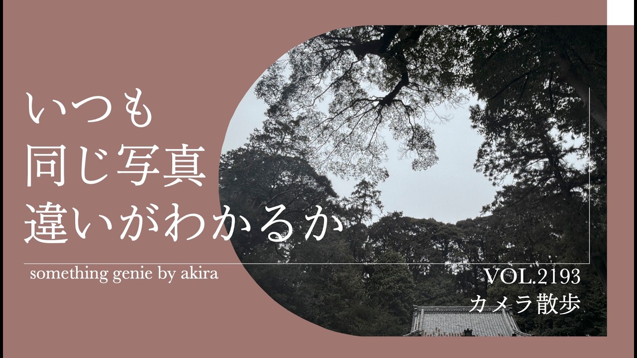 いつもの神社で写真を撮り溜めどう感じるか実験動画【vol 2193違いが感じられるかを試してみます】