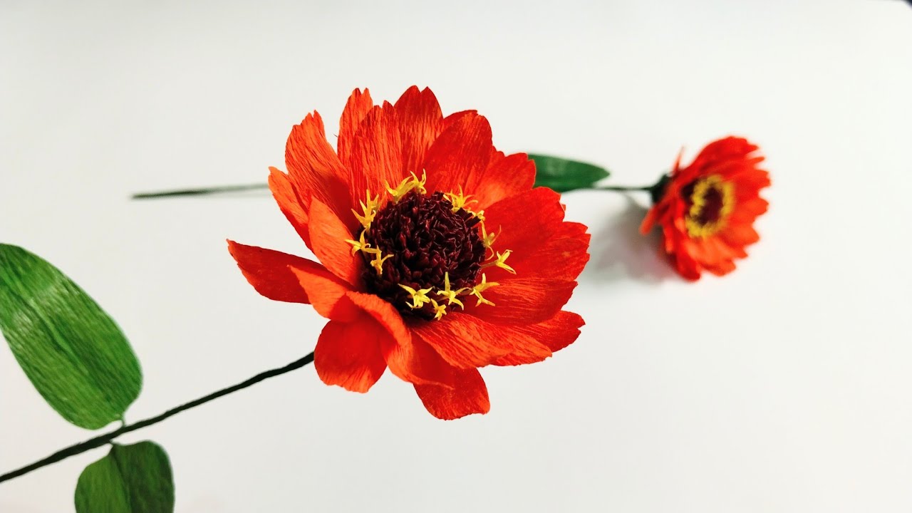 how to make Zinnia flower by crepe paper /diy amazing paper flower making