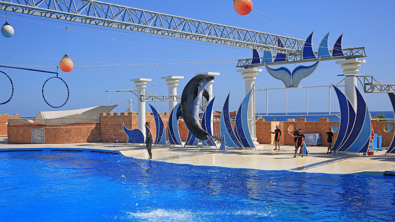 Park z delfinami Sealanya, Turcja /  Sealanya Dolphinpark Seapark, Turkler. Türkiye
