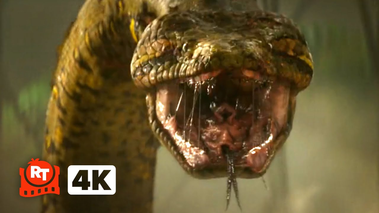 Anaconda (2025) 4K - SNAKE EXPLOSION | Movieclips