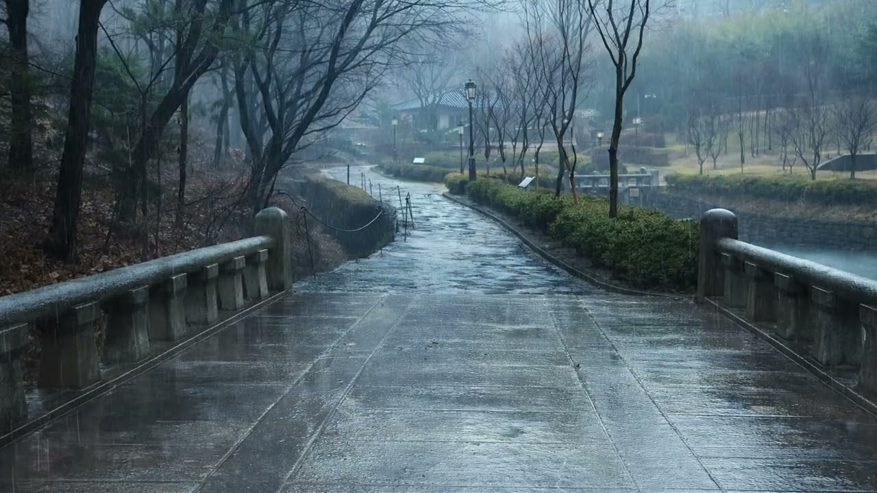 Heavy Rain & Thunder in Dark Foggy Park 🌩️ Sleep Sounds 24/7