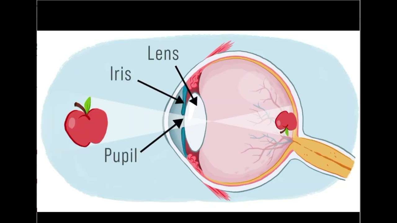 Science Unit 2