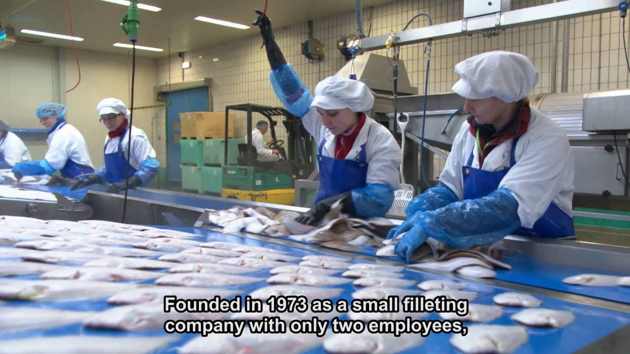 Van der Lee Seafish Urk Holland. Visverwerking van noordzee vis. How It's made Fish