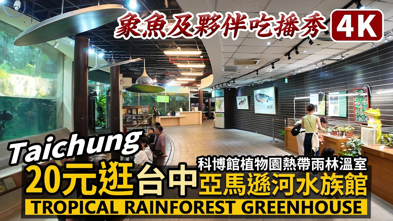 Taichung／20元逛台中亞馬遜河水族館！Botanical Garden～National Museum of Natural Science 臺中科博館熱帶雨林溫室，象魚夥伴餵魚秀／台中海洋館